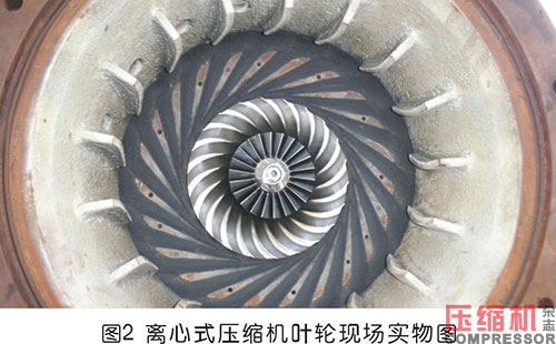 20250331291325.jpg 10.JPG