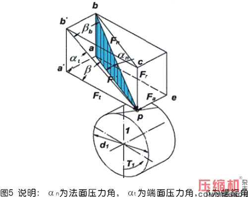 20250331353780.jpg 13.JPG